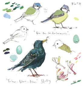 Blue Tit and Starling Sketchbook