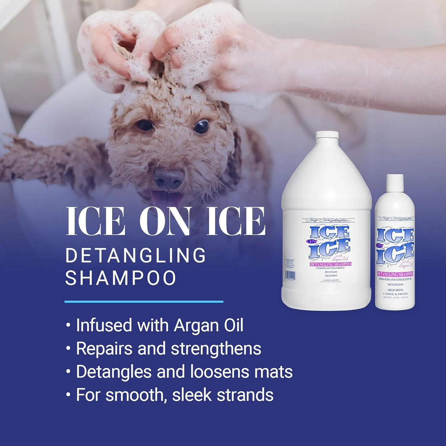 Chris Christensen Ice on Ice Strengthening Dog Shampoo, Groom Like Professional, Revives Dry, Damaged Coats & Strands, All Coat Types Made in USA 16oz
