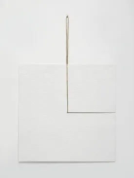 Fernanda Gomes | Untitled (2024)